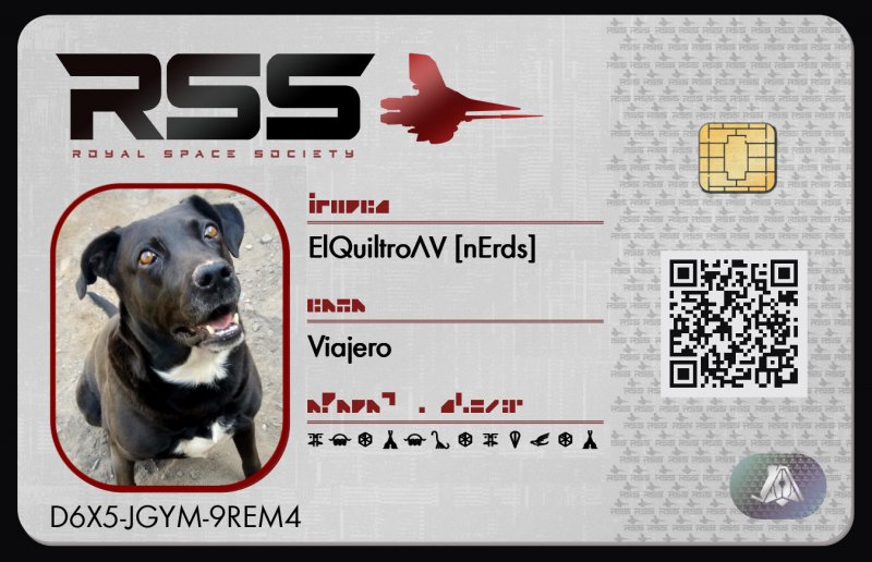 Tarjeta de identificación de ElQuiltroAV [nErds]