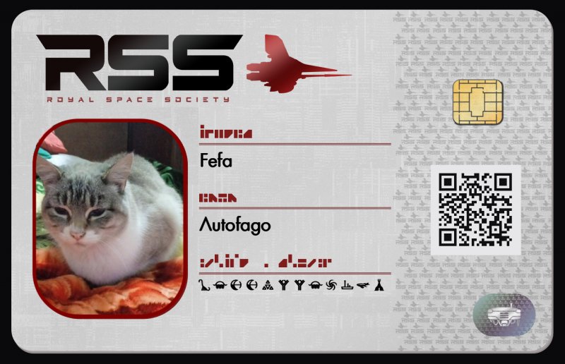 Tarjeta de identificación de Fefa