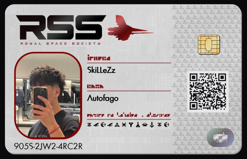 Tarjeta de SkiLLeZz