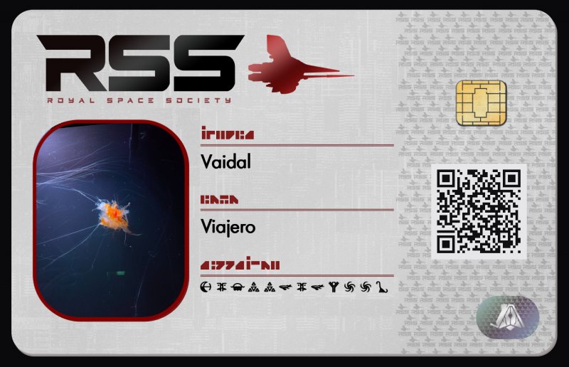 Tarjeta de identificación de Vaidal