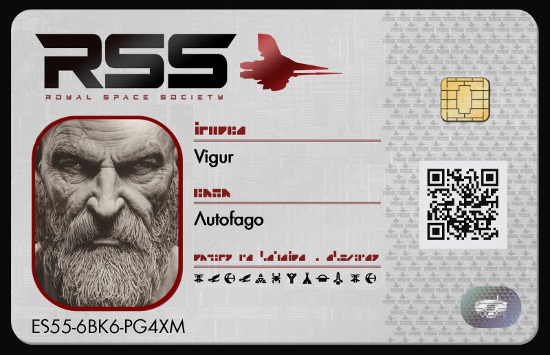 Tarjeta de Vigur